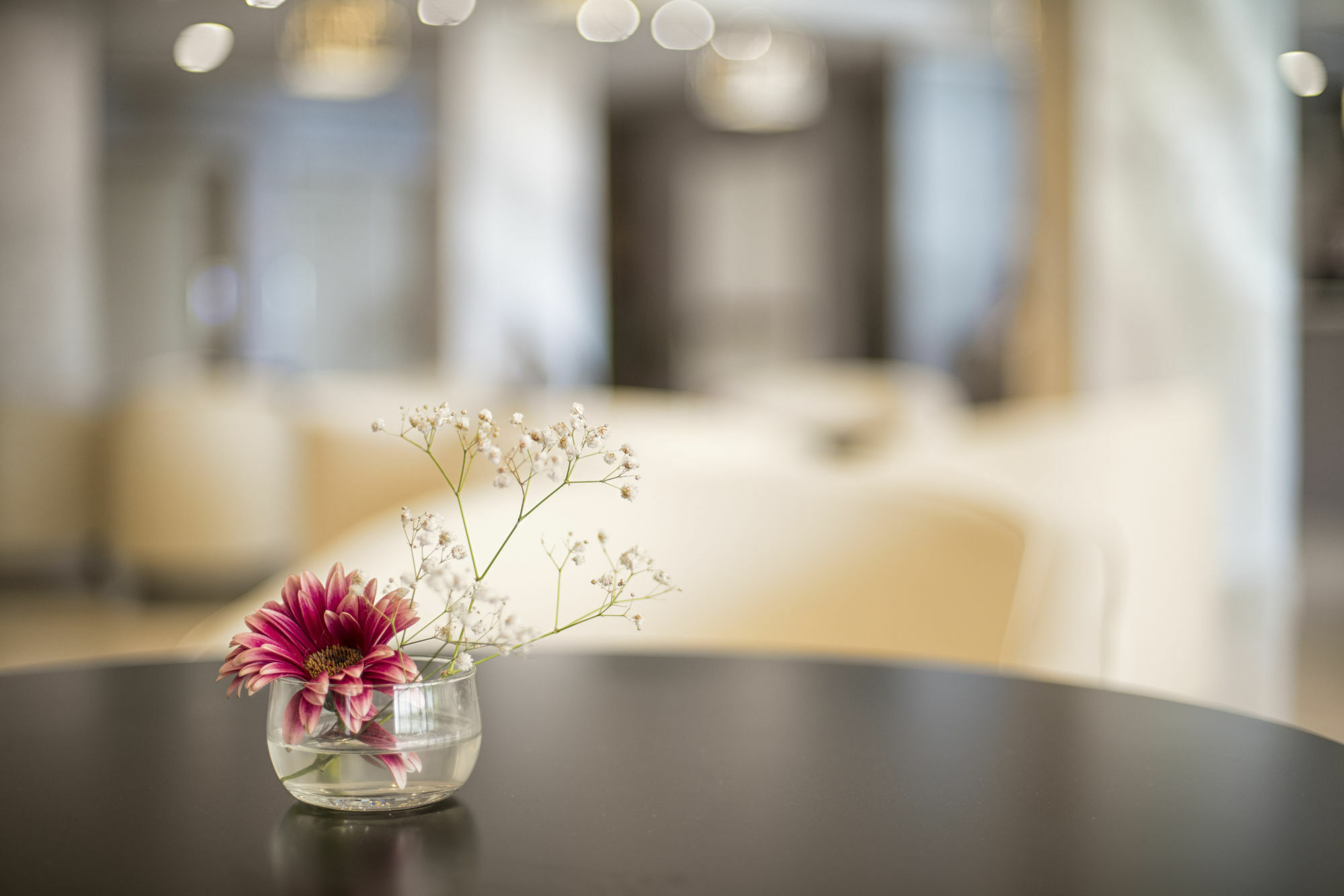 פומזיה Simon Hotel מראה חיצוני תמונה